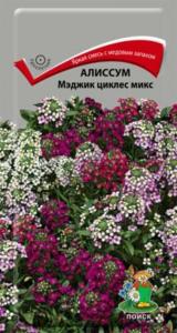 Алиссум Мэджик циклес микс 0,1г. Поиск Алиссум Мэджик циклес микс 0,1г. Поиск