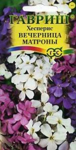 Хесперис Вечерница Матроны, смесь 0,3 г. Гавриш