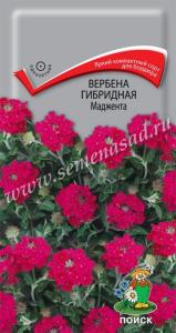 Вербена Маджента гибридная 0,1г Одн 20см (Поиск)