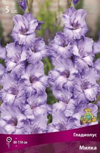 Гладиолус крупноцветковый Милка 5шт (нежно-сиренево-голубой, 12-14)
