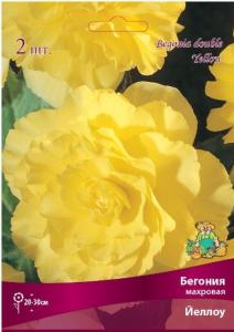 Бегония махровая Йеллоу 2шт.4-5