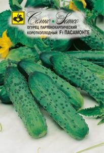 Огурец Пасамонте F1 Семко