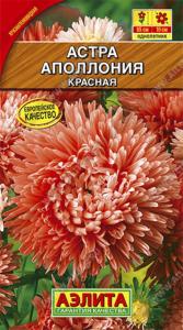 Астра Аполлония красная (Аэлита)