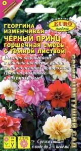 Георгина Черный принц 0,2г Мн смесь 35см (Аэлита)