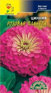 Цинния Розовая Планета Цвет сад