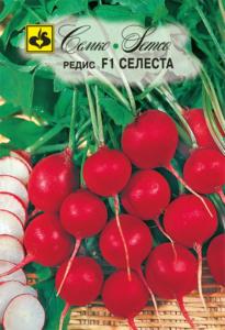 Редис Селеста F1 Семко