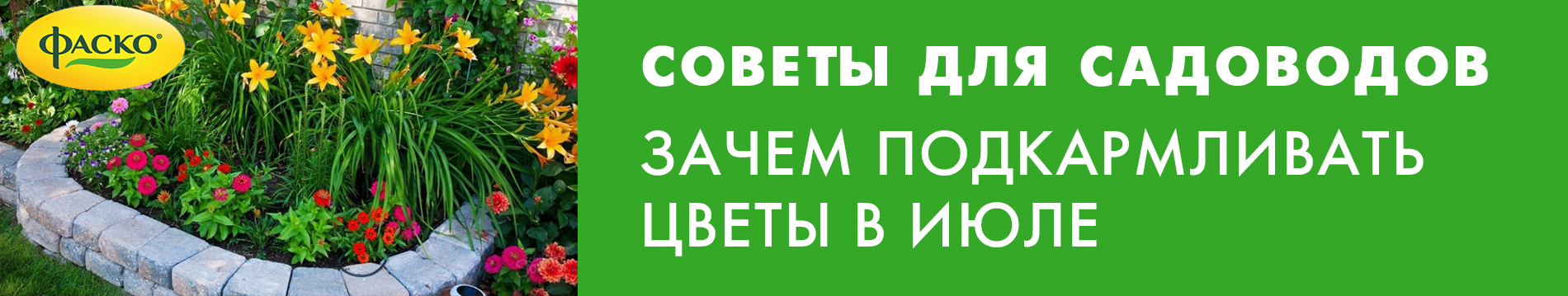 Зачем подкармливать цветы в июле