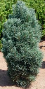 Скриншот 21-04-2026 114819