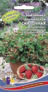 Земляника Сказочная, альпийская-от обилия ягод не видно листвы!! (УД) ЧСС