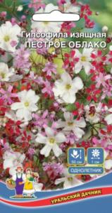 Гипсофила  Пестрое облако изящная (УД)
