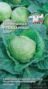 Капуста б-к Сахарный Шар,раннеспел. (Седек) Капуста б-к Сахарный Шар,раннеспел. (Седек)