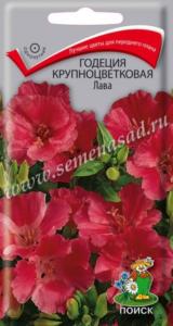 Годеция Лава 0,2гр. Поиск