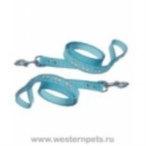 ПОВОДОК СО СТРАЗАМИ 
