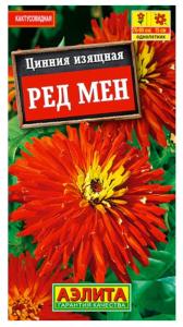 Цинния Ред мен ,кактус. Аэл.