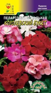 Пеларгония Королевский букет ,смесь Цвет.Сад