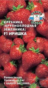 Земляника (клубника) Иришка F1 (Седек)