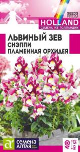 Антирринум (Львиный зев) Снэппи Пламенная орхидея 7шт Одн 25см (Сем Алт)