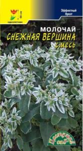 Молочай-эуфорбия Снежная вершина Цвет.Сад (д-цв.ковров)