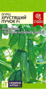 Огурец Хрустящий Пучок F1 6шт (Сем Алт)