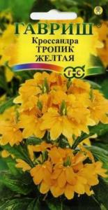 Кроссандра Тропик желтая 3шт Гав