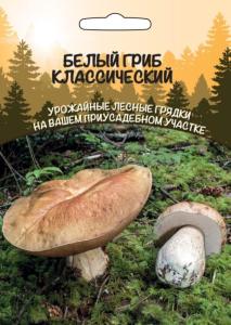 Мицелий Белый Гриб Классический (ССПК)