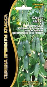 Огурец РМТ букет тип (УД) ЧСС