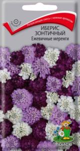Иберис Ежевичные меренги, зонтичный 0,1г. Поиск
