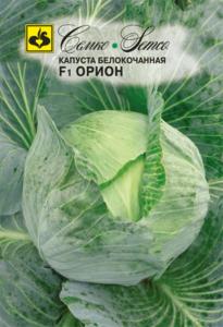 Капуста б-к Орион  F1 Семко