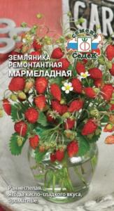 Земляника Мармеладная ( мелкоплодная ремонтант.) (Евро, 0,04) Седек