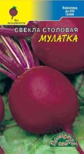 Свекла Мулатка (Цвет сад) Свекла Мулатка (Цвет сад)
