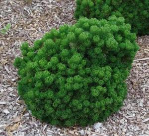 Скриншот 21-04-2026 151027