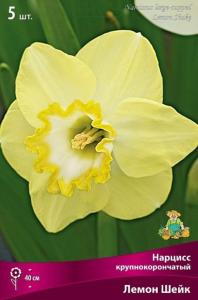 Нарцисс Крупнокорончатый Лемон Шейк 5шт (ярко-желтый с махровой оранжевой коронкой, 12-14, h35см) Нарцисс Крупнокорончатый Лемон Шейк 5шт (ярко-желтый с махровой оранжевой коронкой, 12-14, h35см)