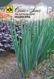 Лук батун Ишикура на перо 1г Ранн (Семко)