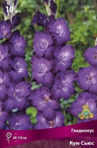 Гладиолус крупноцветковый Кум Сьюс (фиолетово-сиреневый со светлеющим центром, 10шт, 10-12)