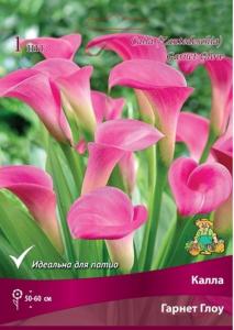 Калла Гарнет Глоу (малиново-розовый, 1шт, 14-16)
