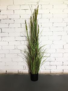 Исскуственная трава Злаковые 3 h150см