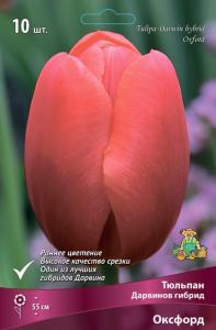Тюльпан Дарвинов гибрид Оксфорд (красный, 10шт, 11-12) Тюльпан Дарвинов гибрид Оксфорд (красный, 10шт, 11-12)