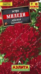 Астра Миледи красная Аэлита