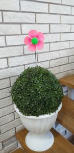 Штекер Мак BK-193 H60, 12*3 см