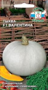 Тыква Валентина F1 1г Ср (Седек)