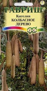 Кигелия Колбасное дерево 3шт Гавриш