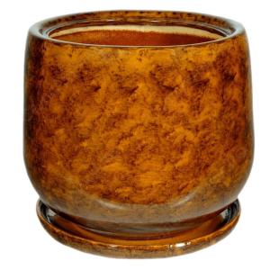 Тюльпан 1 горшок с поддоном 9л d22см кор.