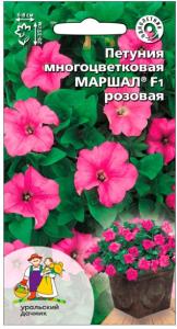 Скриншот 18-08-2026 095336