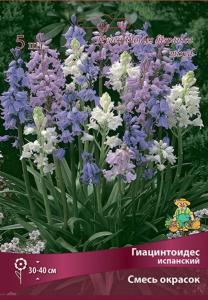 Гиацинтоидес испанский (10шт, колокольчики голубых, белых и розовых окрасок, 6-7, 40см) Гиацинтоидес испанский (10шт, колокольчики голубых, белых и розовых окрасок, 6-7, 40см)