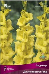 Гладиолус Джексонвилл Голд 10шт 10-12