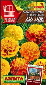 Бархатцы откл. Хот пак 5шт смесь Одн 20см (Аэлита) 
