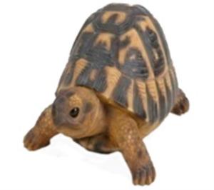 Черепашка L17 W11,7 Н7,7 см