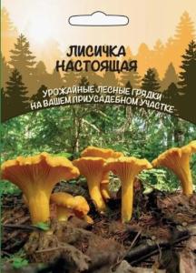 Мицелий Лисичка Настоящая (ССПК) Новинка!!!
