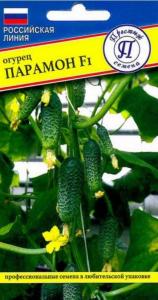 Скриншот 29-10-2024 095727 Скриншот 29-10-2024 095727