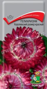 Гелихризум Королевский размер Красный 0,1г Сухоцвет Одн 100см (Поиск)